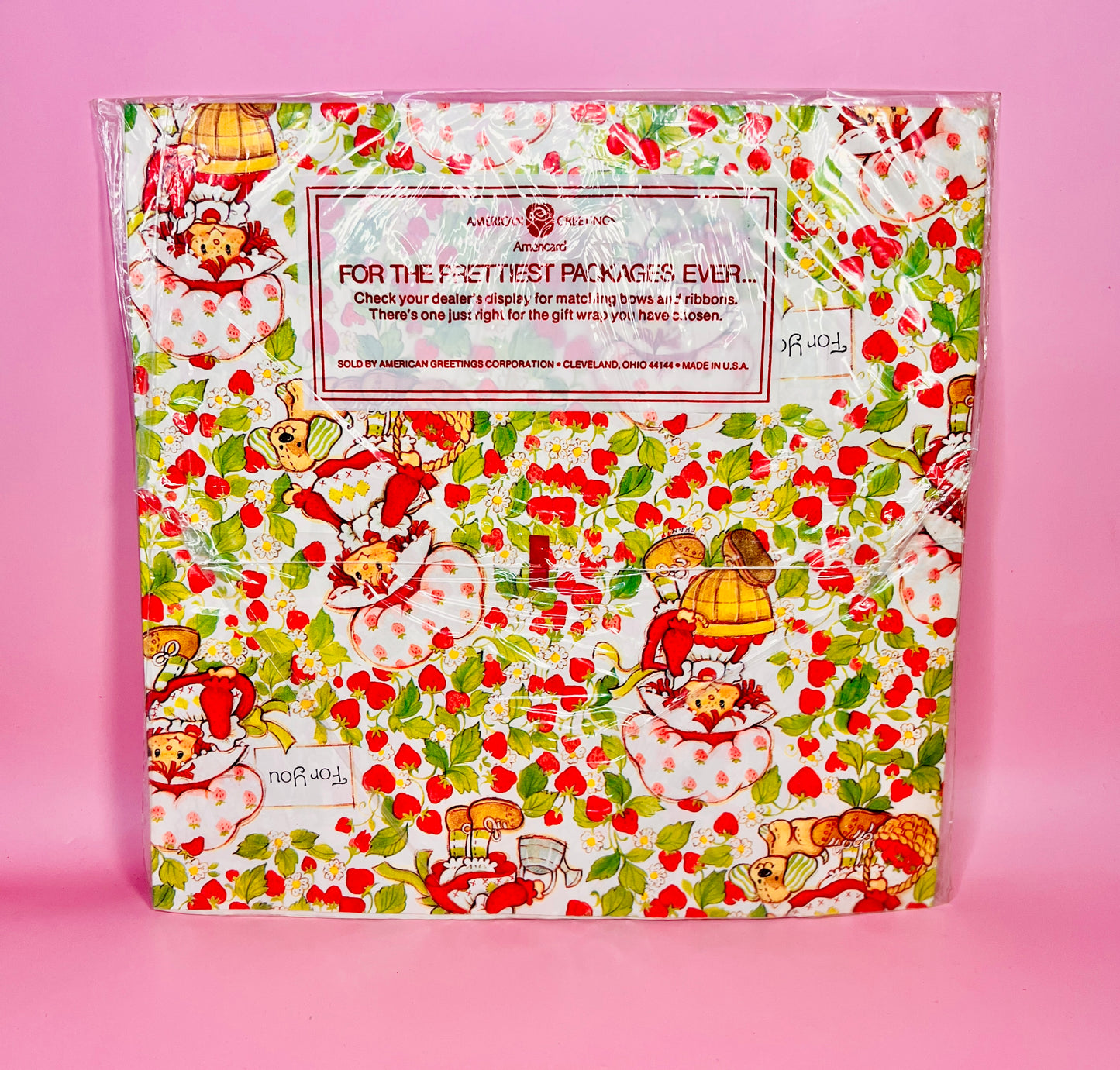 Vintage New Old Stock NOS 1981 Strawberry Shortcake Wrapping Paper SEALED 2 Sheets