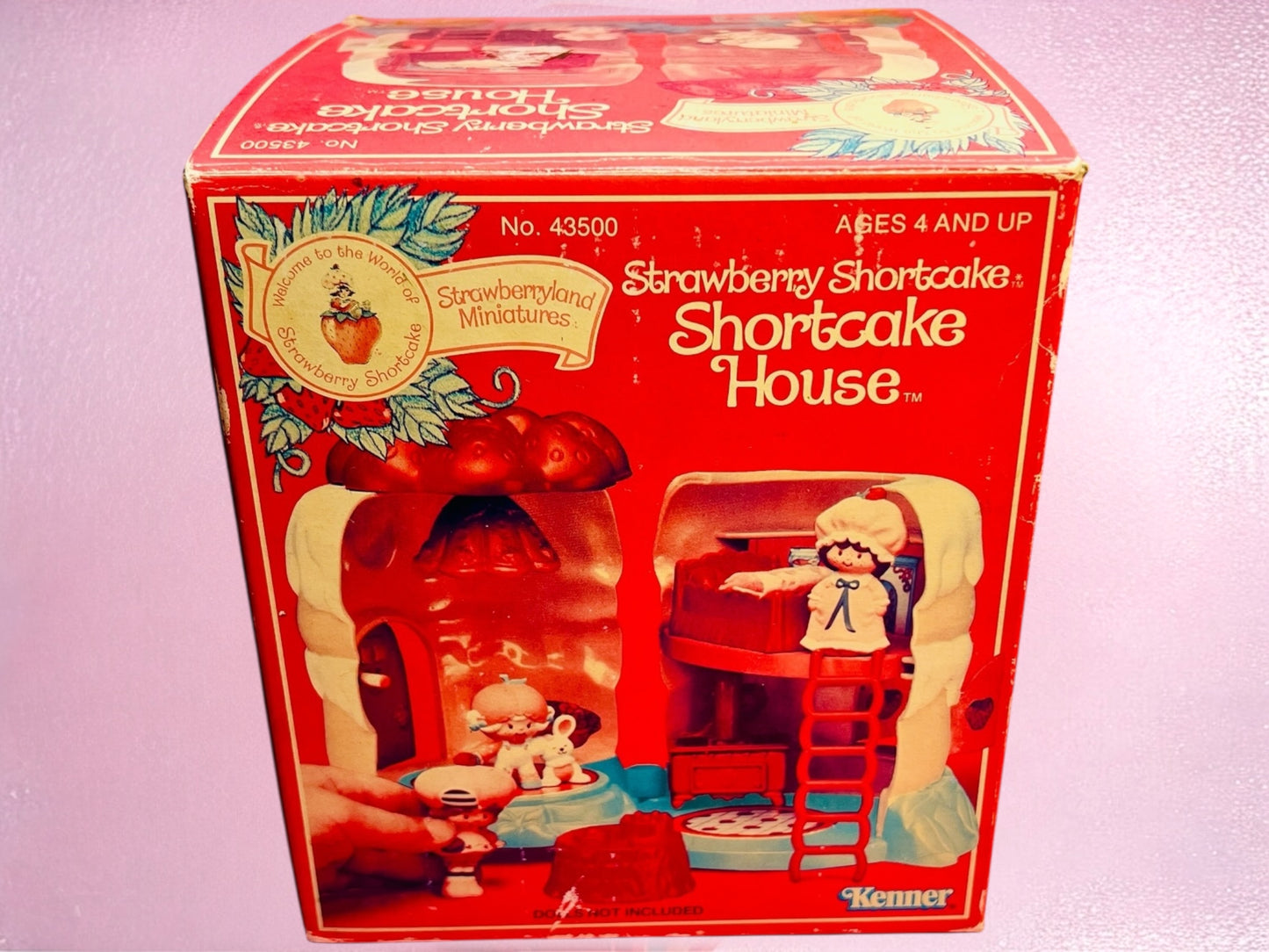 NEW IN BOX Vintage 1980s Strawberry Shortcake Strawberryland House UNUSED with Intact Stickers & Sealed Accessories!