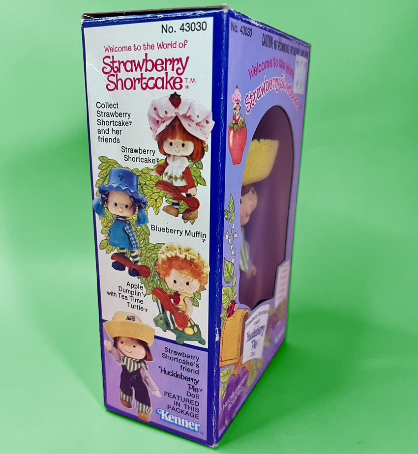 MINT in box Huckleberry Pie Doll from Strawberry Shortcake! SEALED in box! - Dolly Magic