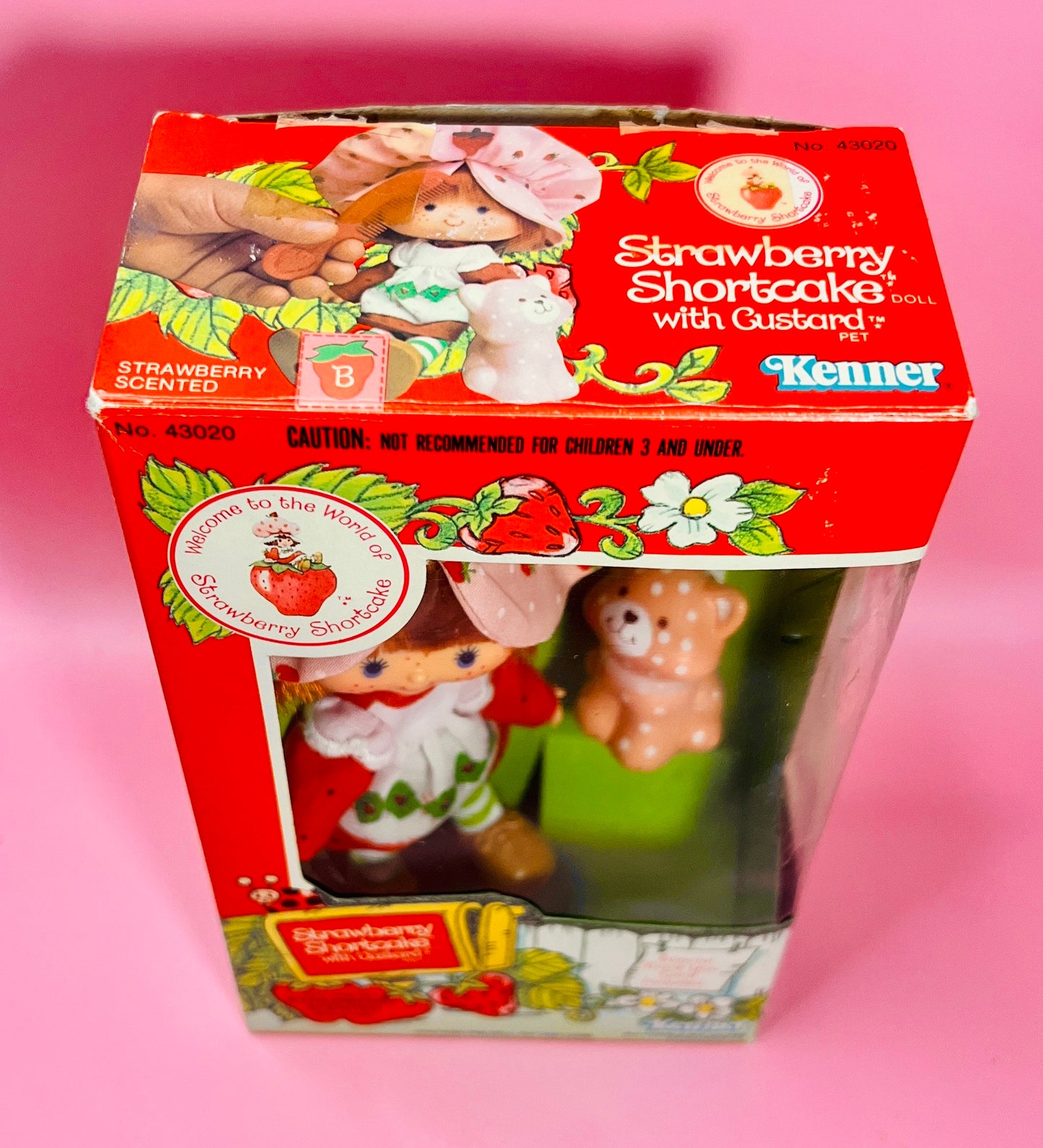 1982 Vintage Strawberry Shortcake Herself Doll New in Box with Pet Custard the Cat! Optional Scent and Gift Wrap! - Dolly Magic