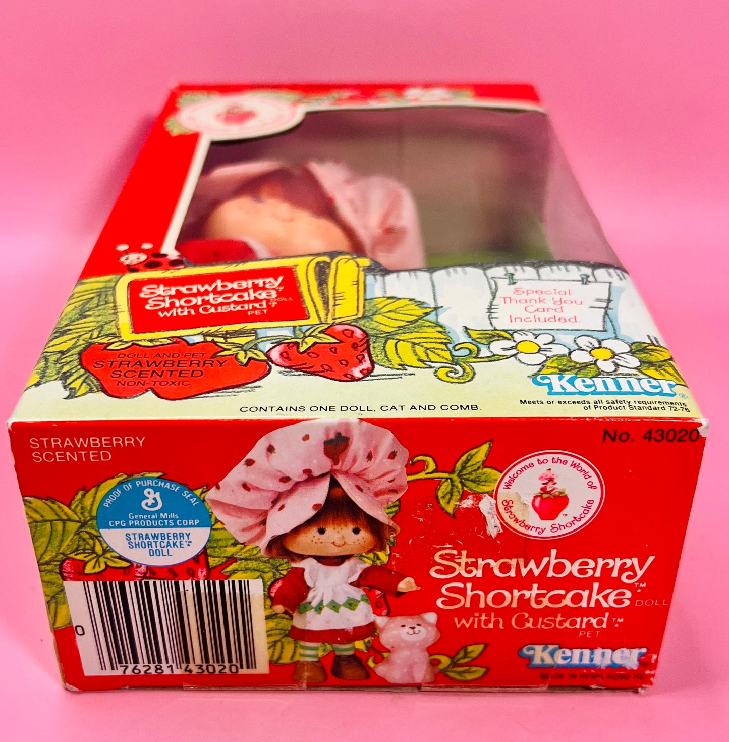 1982 Vintage Strawberry Shortcake Herself Doll New in Box with Pet Custard the Cat! Optional Scent and Gift Wrap! - Dolly Magic