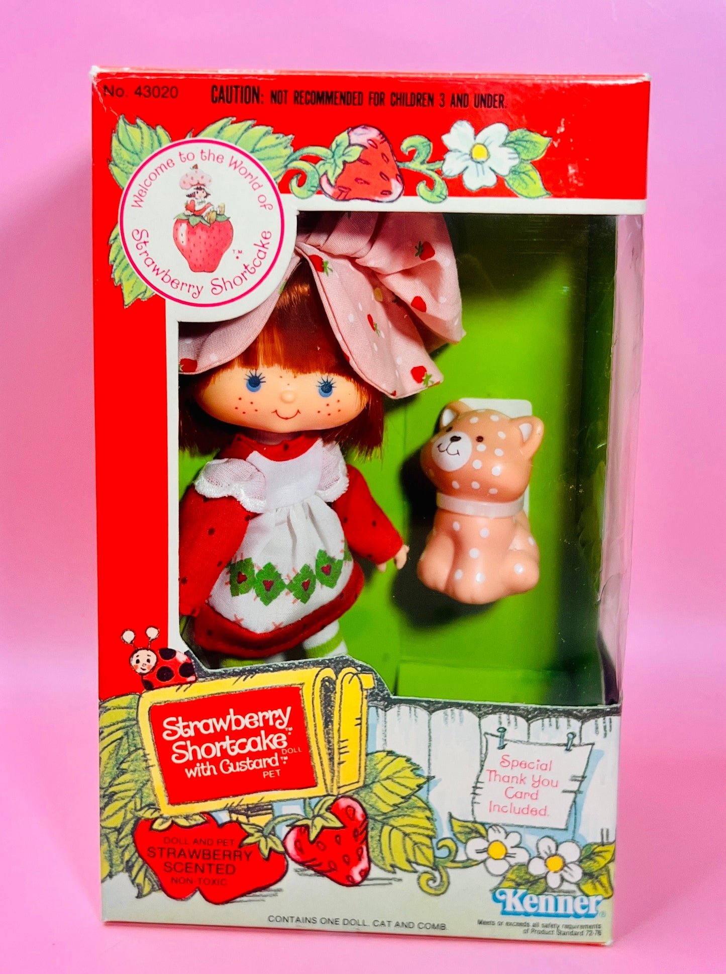 1982 Vintage Strawberry Shortcake Herself Doll New in Box with Pet Custard the Cat! Optional Scent and Gift Wrap! - Dolly Magic