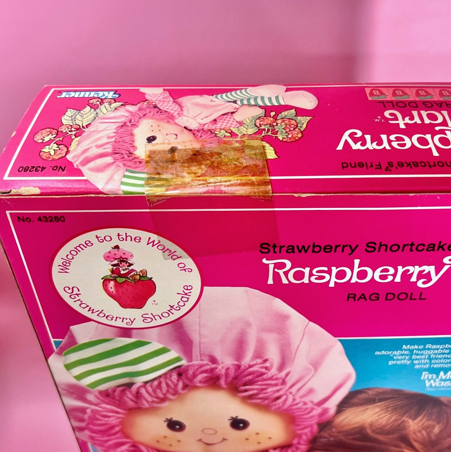 RARE Sealed in Box 1982 Vintage Strawberry Shortcake “Raspberry Tart” Rag Doll Never Opened! - Dolly Magic