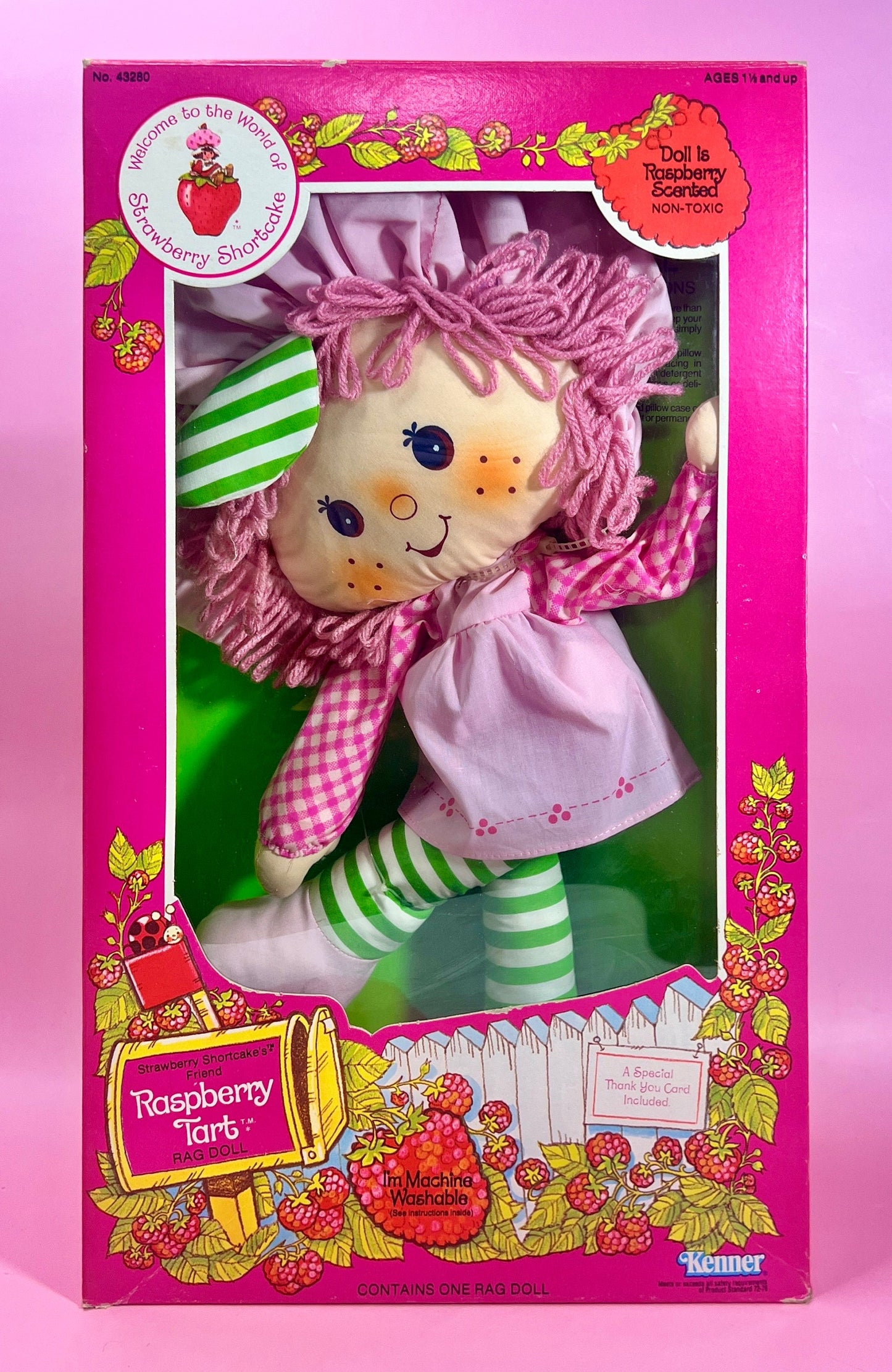RARE Sealed in Box 1982 Vintage Strawberry Shortcake “Raspberry Tart” Rag Doll Never Opened! - Dolly Magic