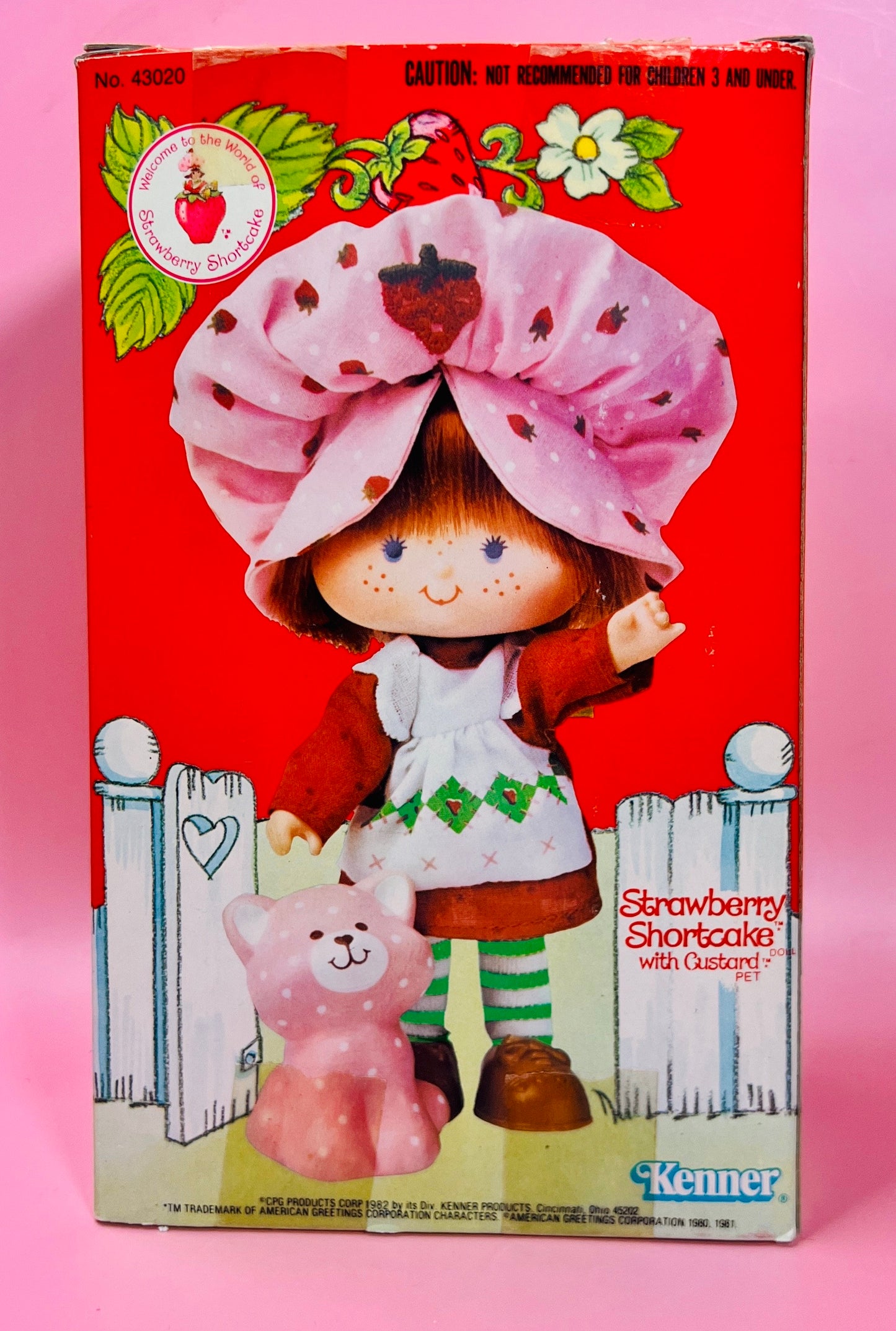 1982 Vintage Strawberry Shortcake Herself Doll New in Box with Pet Custard the Cat! Optional Scent and Gift Wrap! - Dolly Magic
