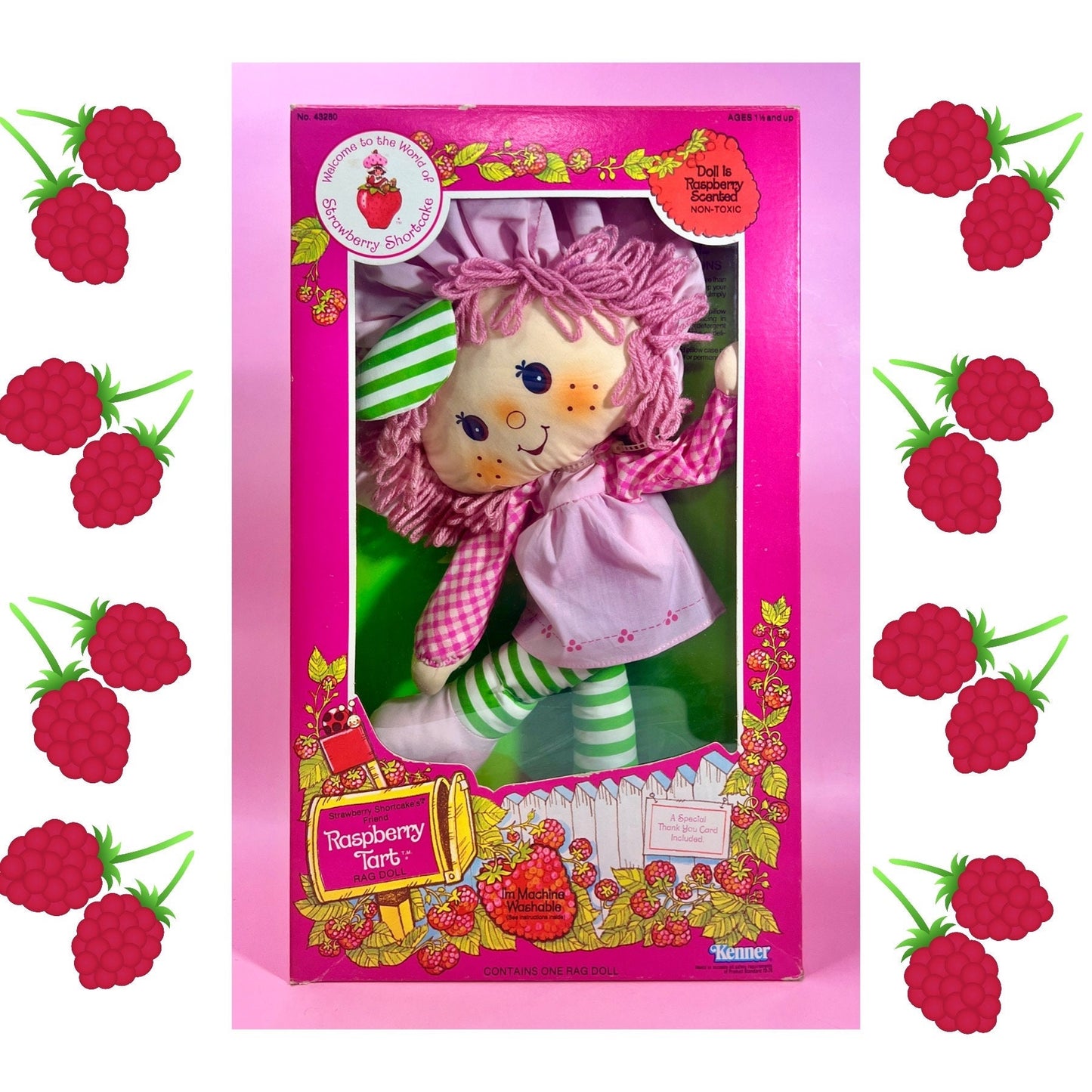 RARE Sealed in Box 1982 Vintage Strawberry Shortcake “Raspberry Tart” Rag Doll Never Opened! - Dolly Magic