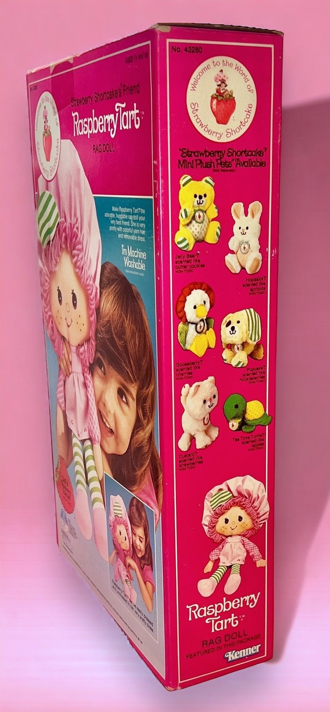 RARE Sealed in Box 1982 Vintage Strawberry Shortcake “Raspberry Tart” Rag Doll Never Opened! - Dolly Magic