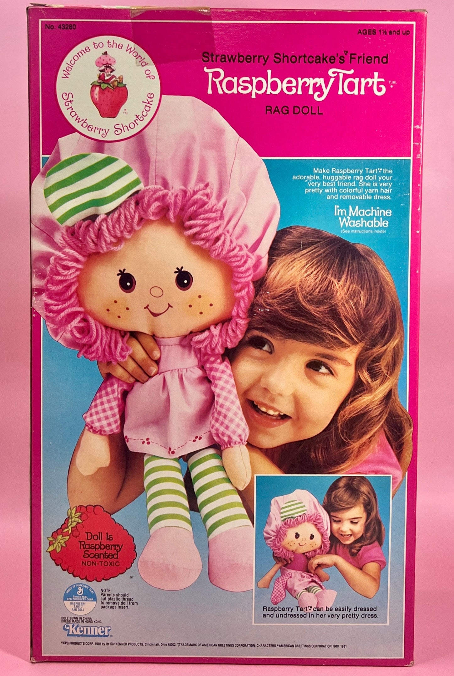 RARE Sealed in Box 1982 Vintage Strawberry Shortcake “Raspberry Tart” Rag Doll Never Opened! - Dolly Magic
