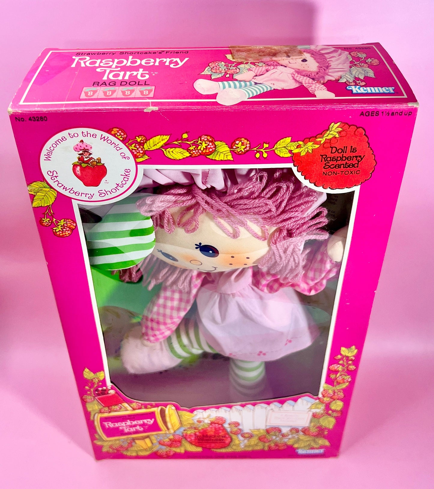 RARE Sealed in Box 1982 Vintage Strawberry Shortcake “Raspberry Tart” Rag Doll Never Opened! - Dolly Magic