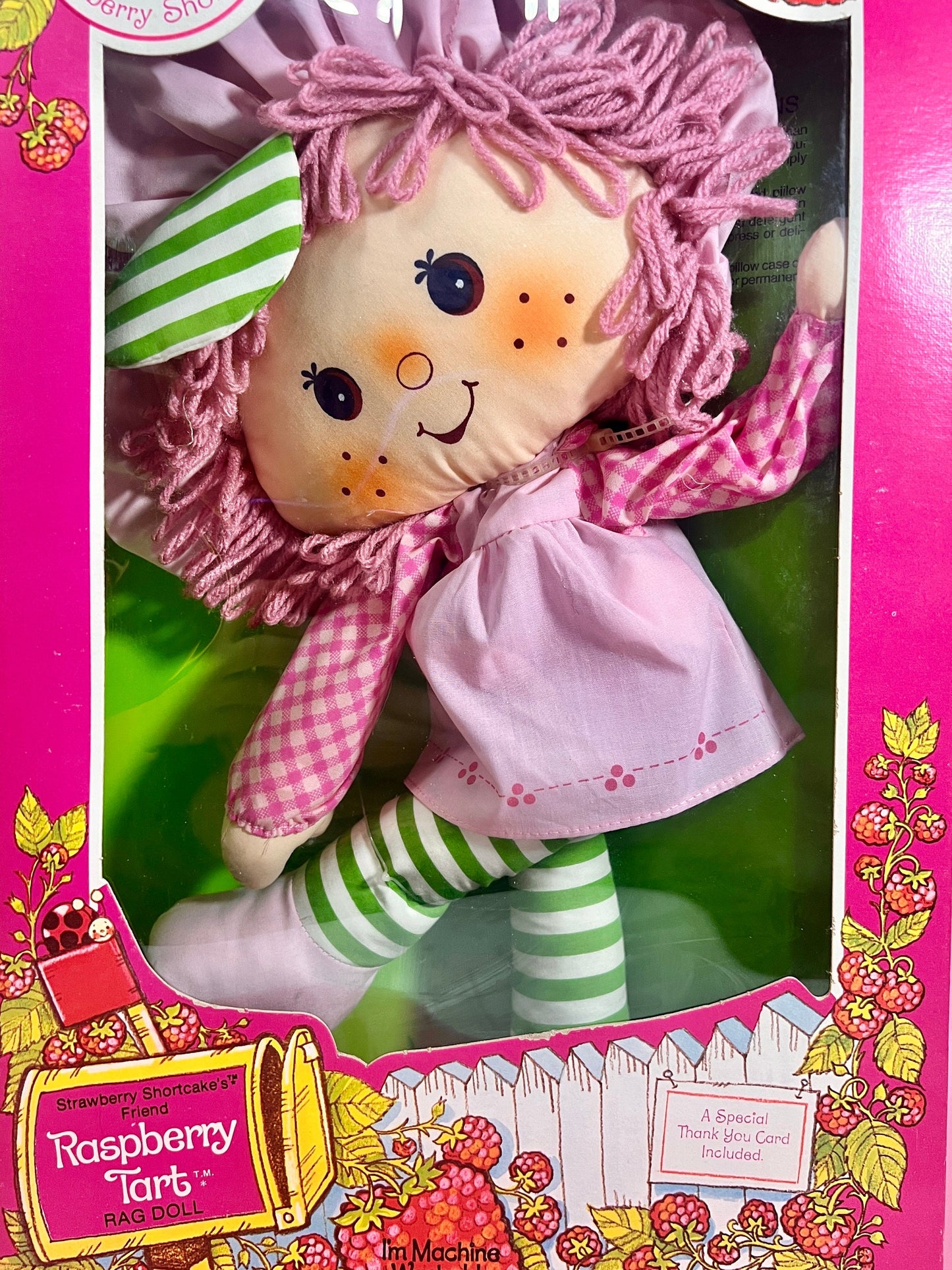 RARE Sealed in Box 1982 Vintage Strawberry Shortcake “Raspberry Tart” Rag Doll Never Opened! - Dolly Magic