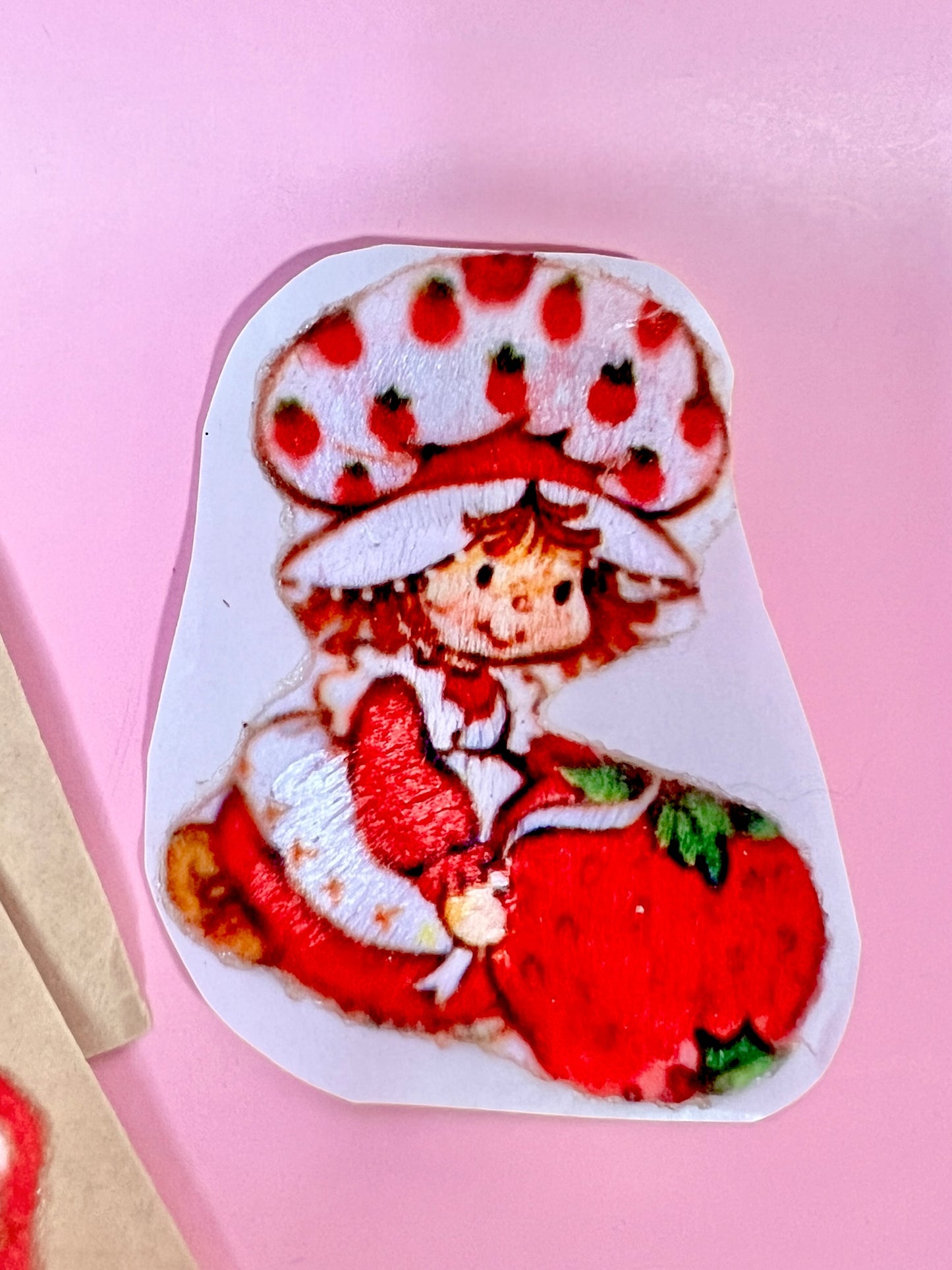 RARE Set of 10 Vintage Early 1980s Strawberry Shortcake Embroidered Iron On Patches (2 designs)