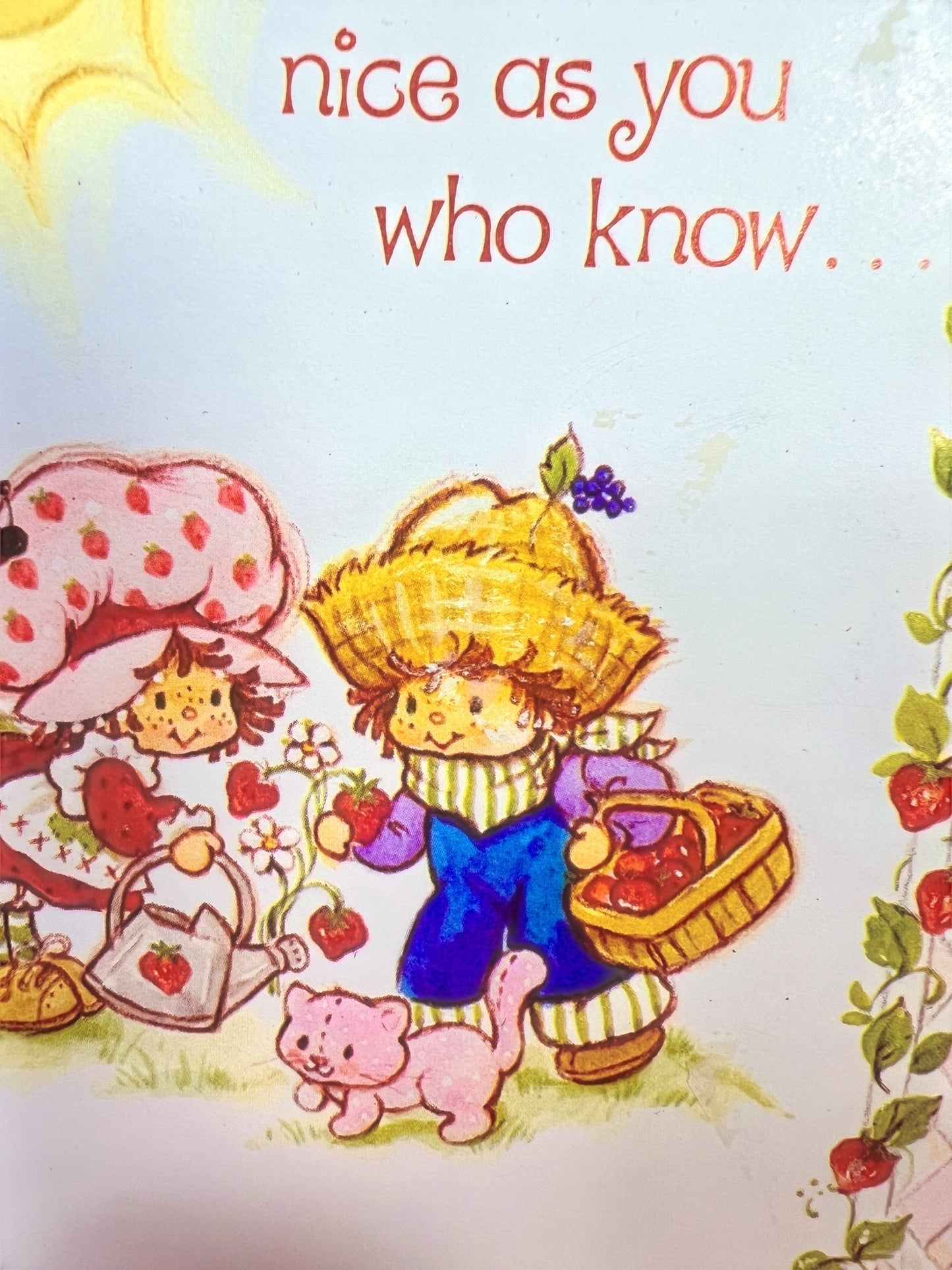 RARE Vintage 1980 Strawberry Shortcake & Huckleberry Pie Greeting Card by American Greetings