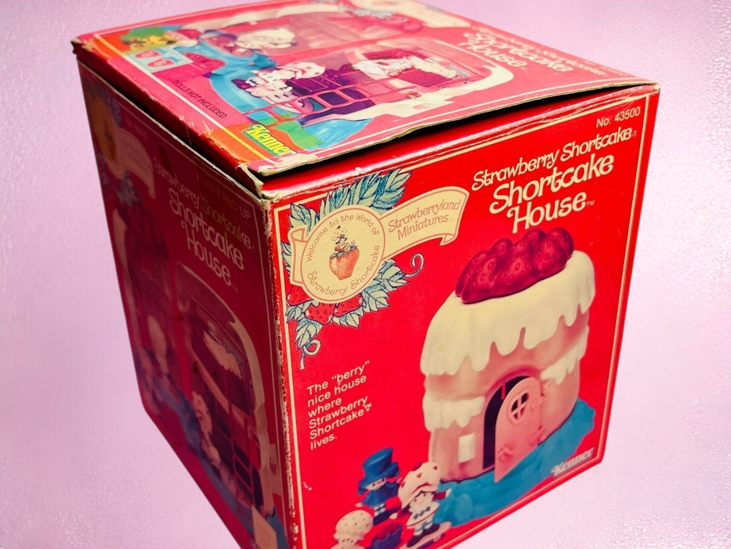 NEW IN BOX Vintage 1980s Strawberry Shortcake Strawberryland House UNUSED with Intact Stickers & Sealed Accessories!