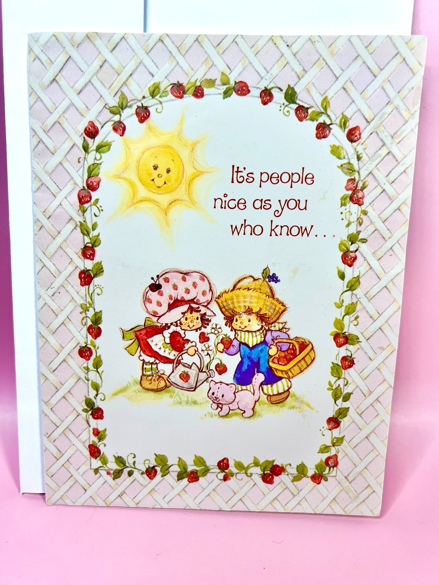 RARE Vintage 1980 Strawberry Shortcake & Huckleberry Pie Greeting Card by American Greetings