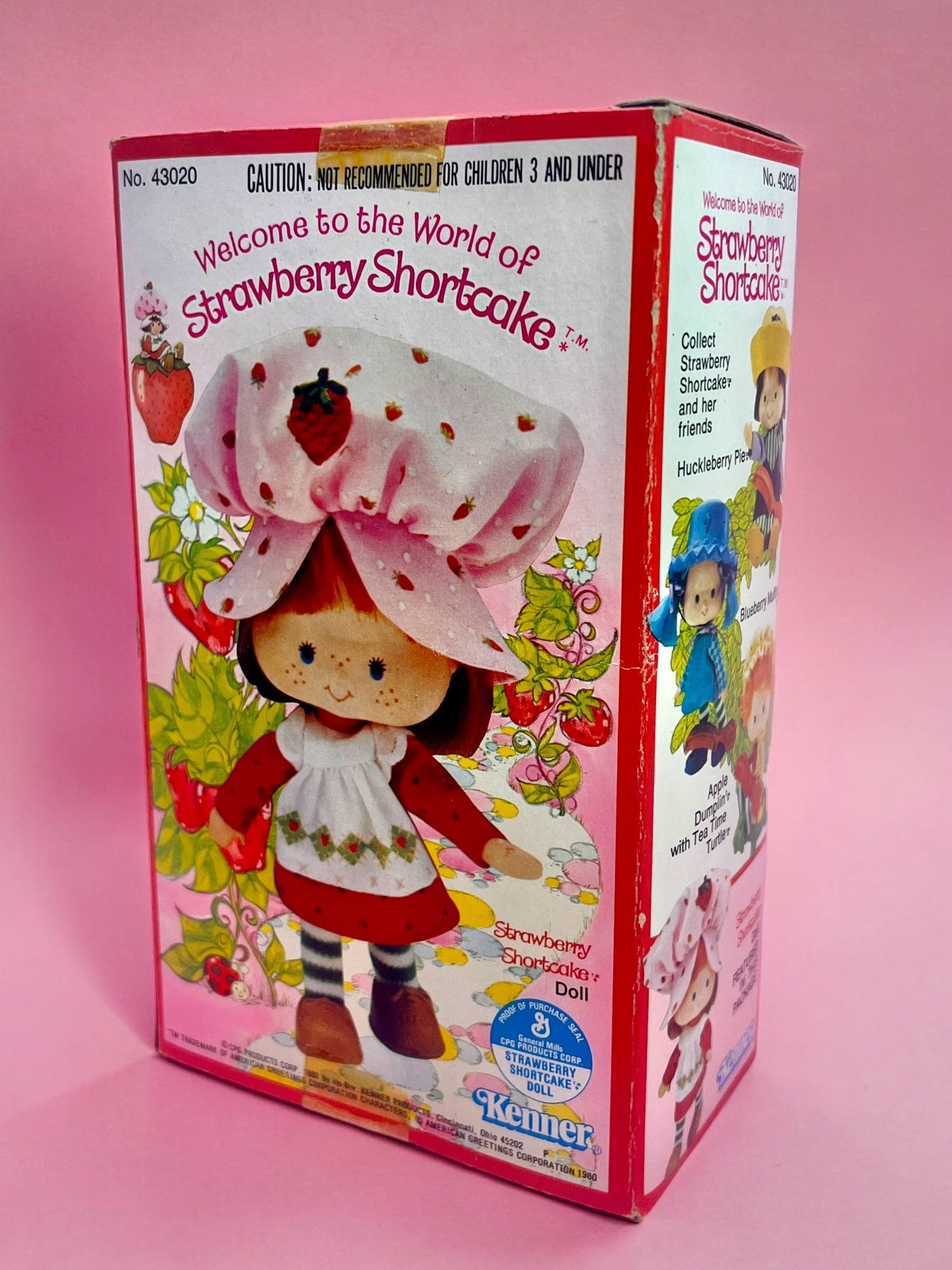 Vintage 1980s New In Box Strawberry Shortcake Doll!