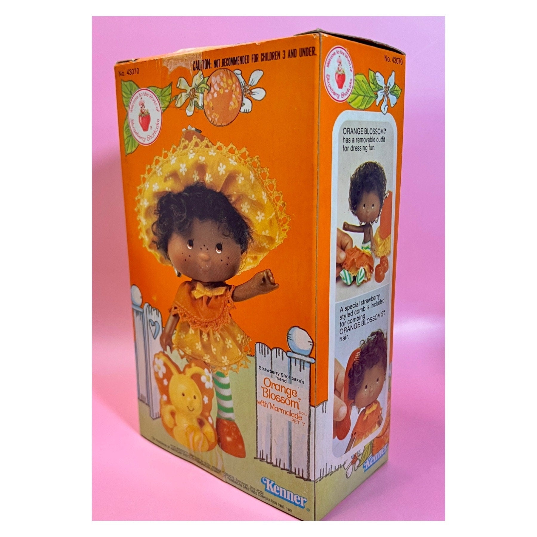 SEALED in Box Orange Blossom Doll with pet Marmalade from Strawberry Shortcake! Gift Wrap Available! - Dolly Magic