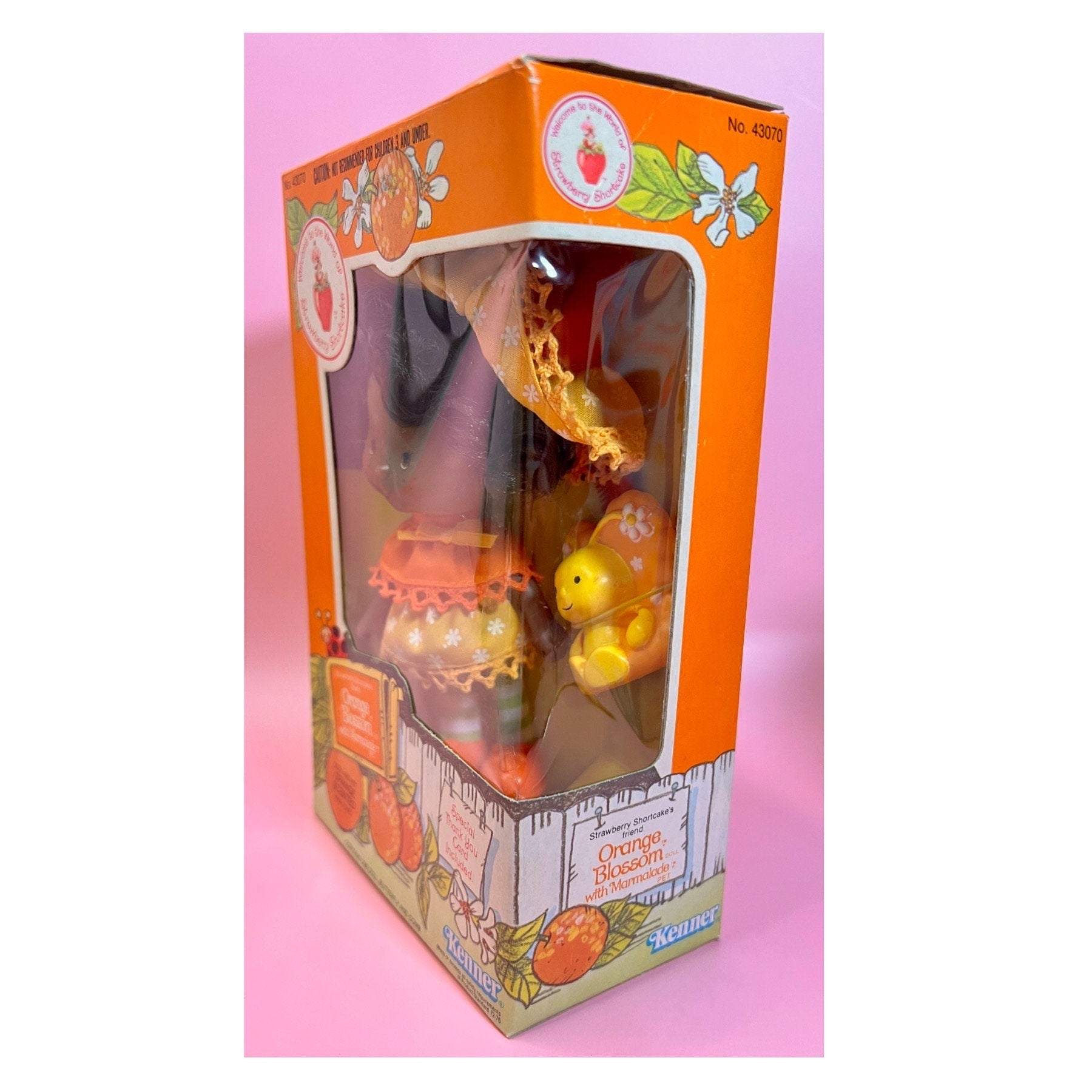 SEALED in Box Orange Blossom Doll with pet Marmalade from Strawberry Shortcake! Gift Wrap Available! - Dolly Magic