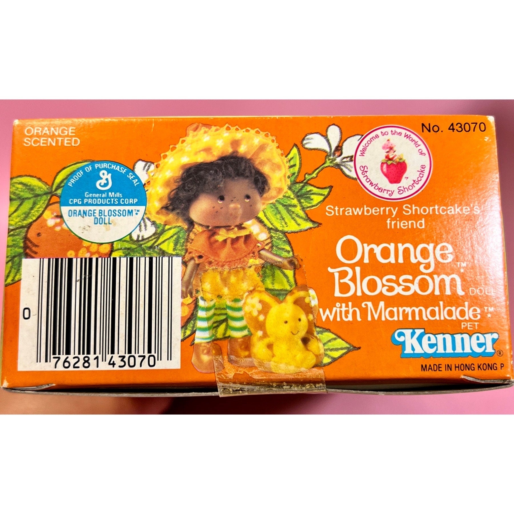 SEALED in Box Orange Blossom Doll with pet Marmalade from Strawberry Shortcake! Gift Wrap Available! - Dolly Magic
