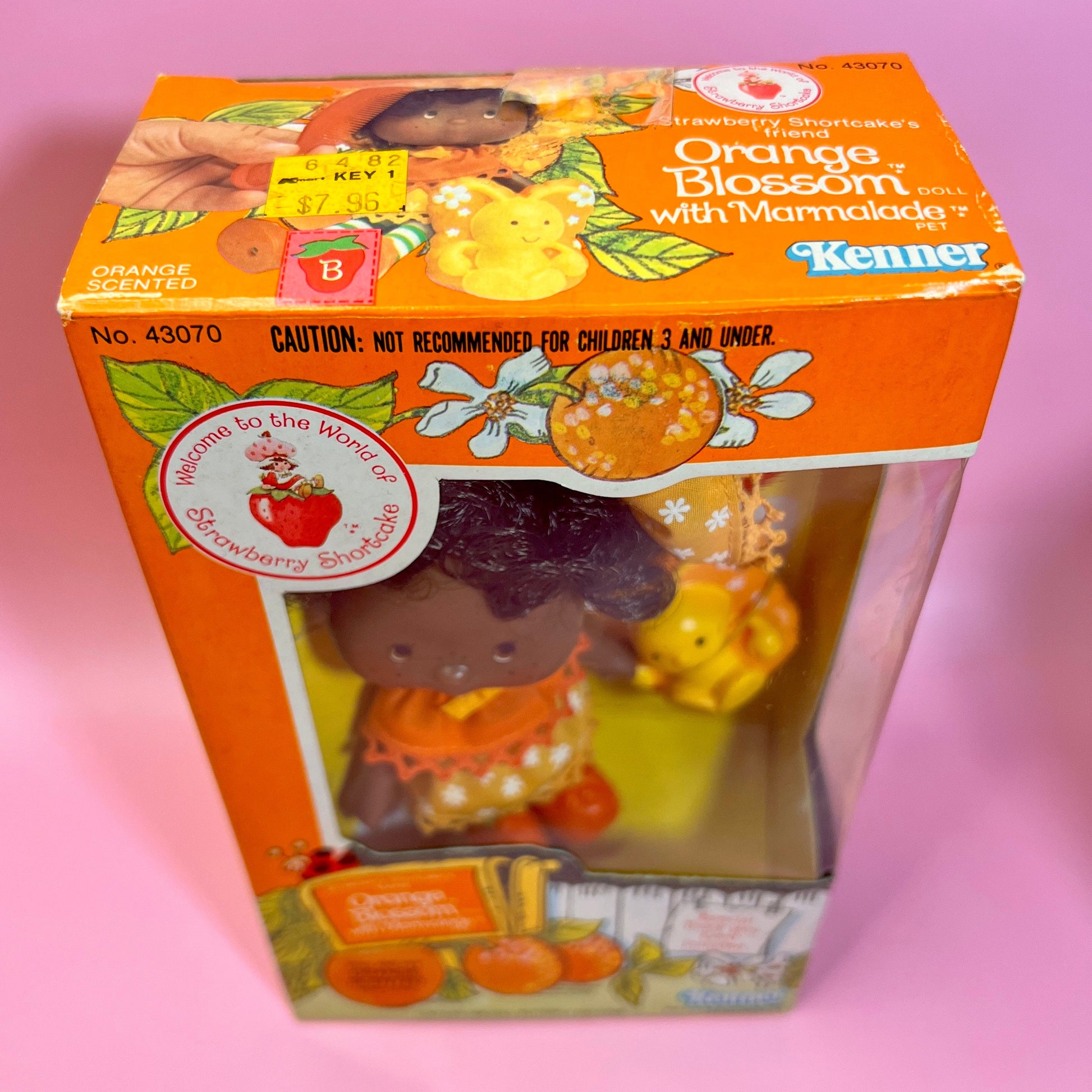 SEALED in Box Orange Blossom Doll with pet Marmalade from Strawberry Shortcake! Gift Wrap Available! - Dolly Magic