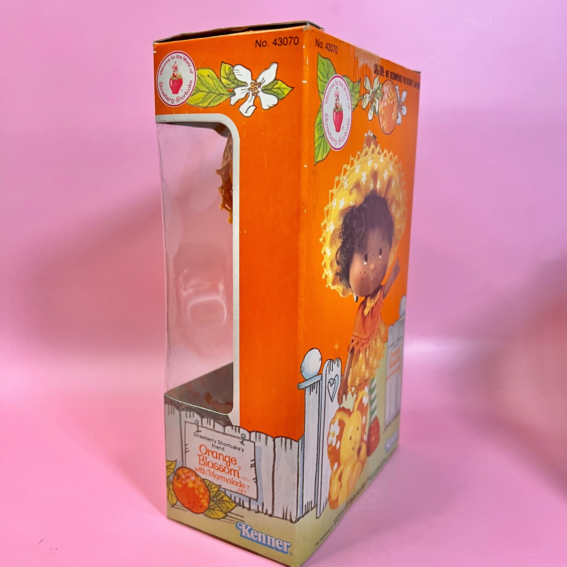 SEALED in Box Orange Blossom Doll with pet Marmalade from Strawberry Shortcake! Gift Wrap Available! - Dolly Magic
