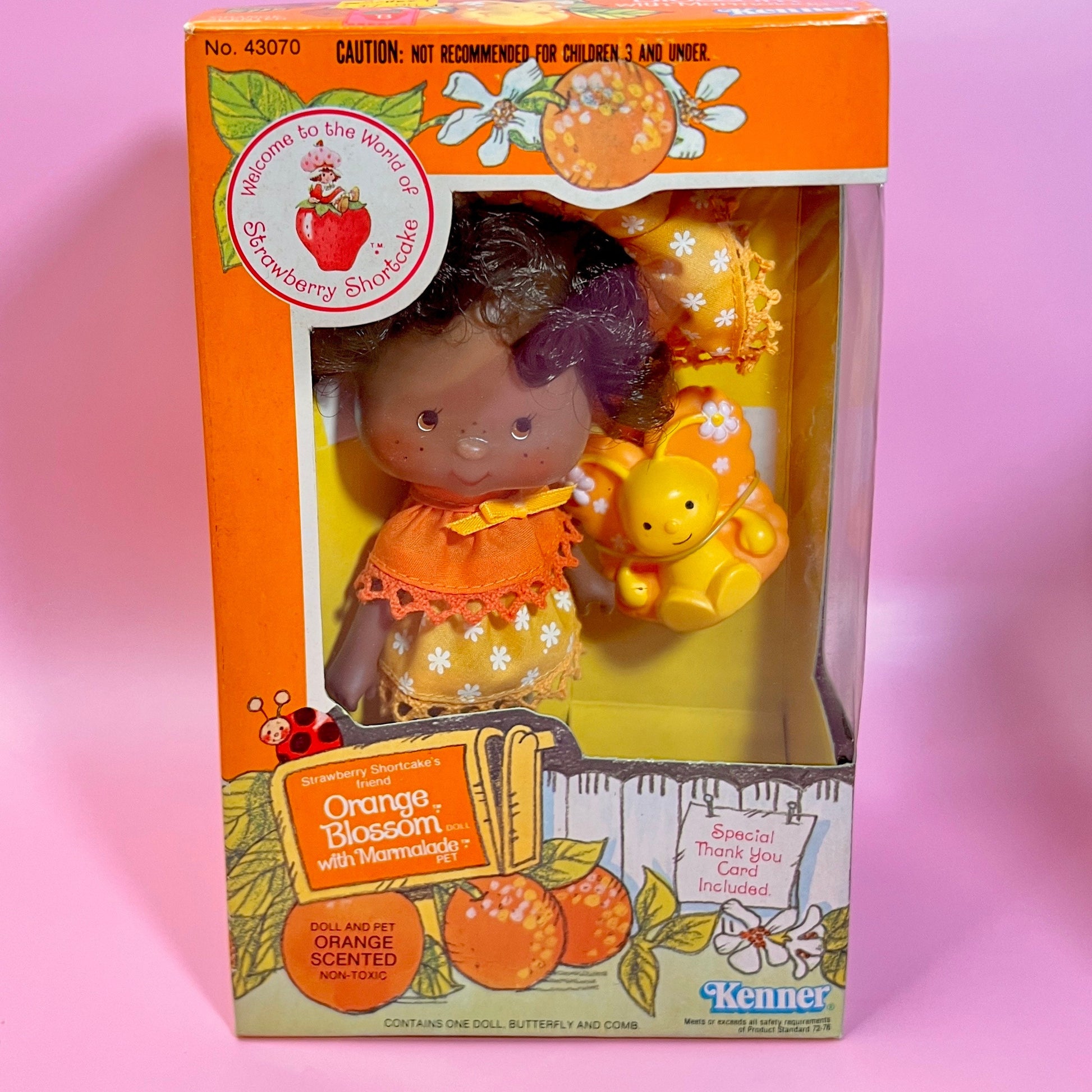 SEALED in Box Orange Blossom Doll with pet Marmalade from Strawberry Shortcake! Gift Wrap Available! - Dolly Magic