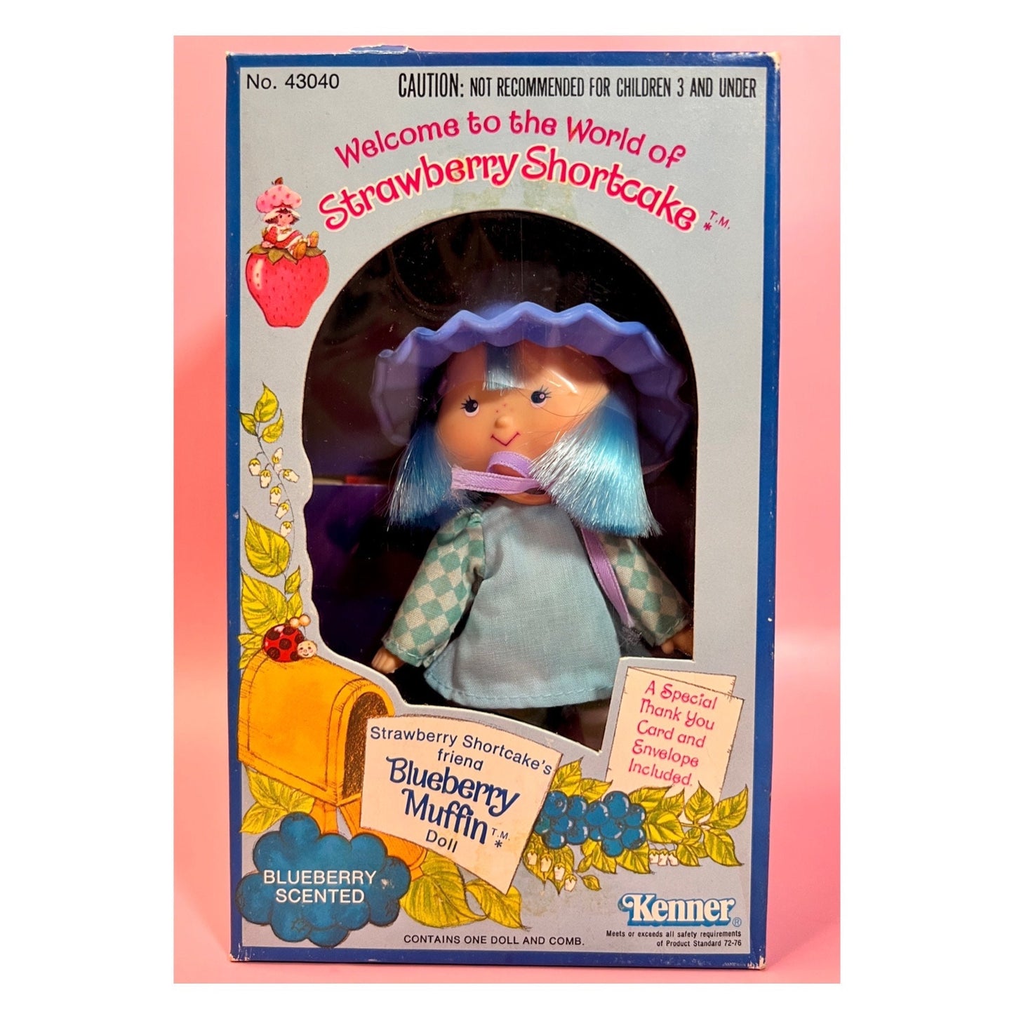 RESERVED FOR PATTY: Sealed in Box Blueberry Muffin Doll from Strawberry Shortcake - Dolly Magic