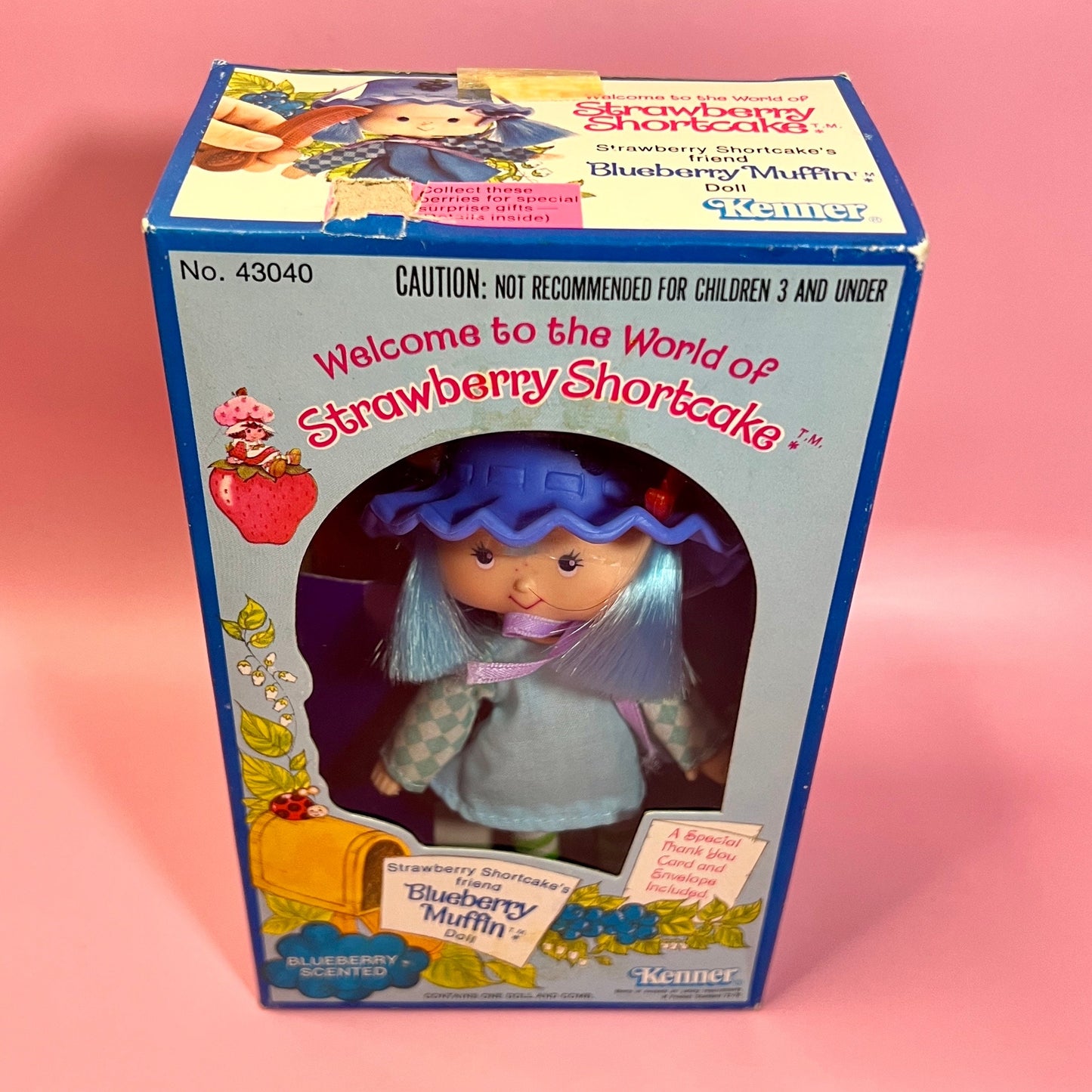 RESERVED FOR PATTY: Sealed in Box Blueberry Muffin Doll from Strawberry Shortcake - Dolly Magic