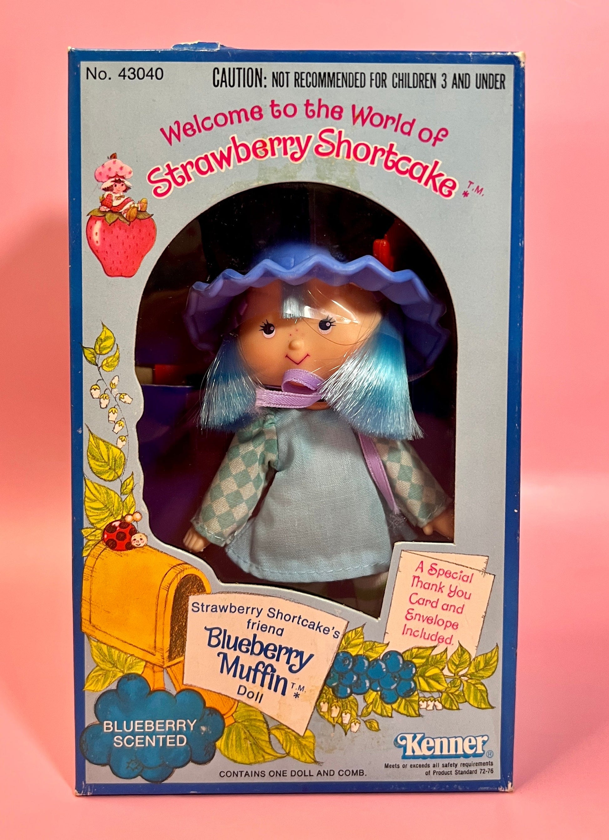 RESERVED FOR PATTY: Sealed in Box Blueberry Muffin Doll from Strawberry Shortcake - Dolly Magic