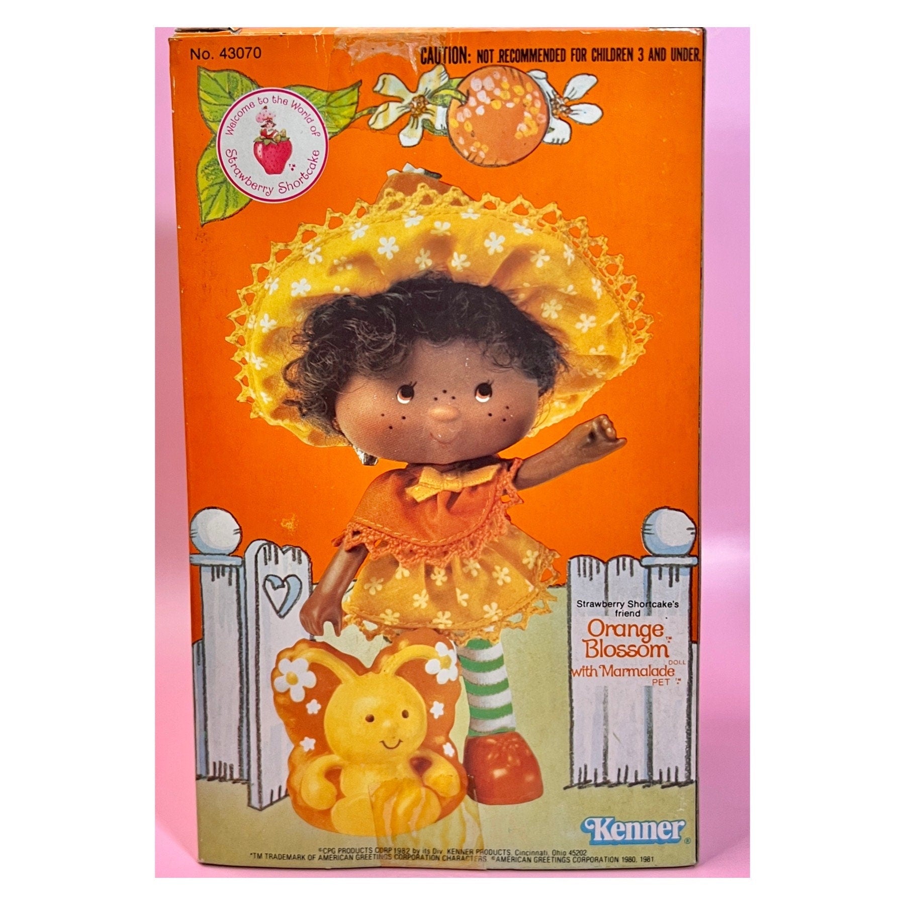 SEALED in Box Orange Blossom Doll with pet Marmalade from Strawberry Shortcake! Gift Wrap Available! - Dolly Magic