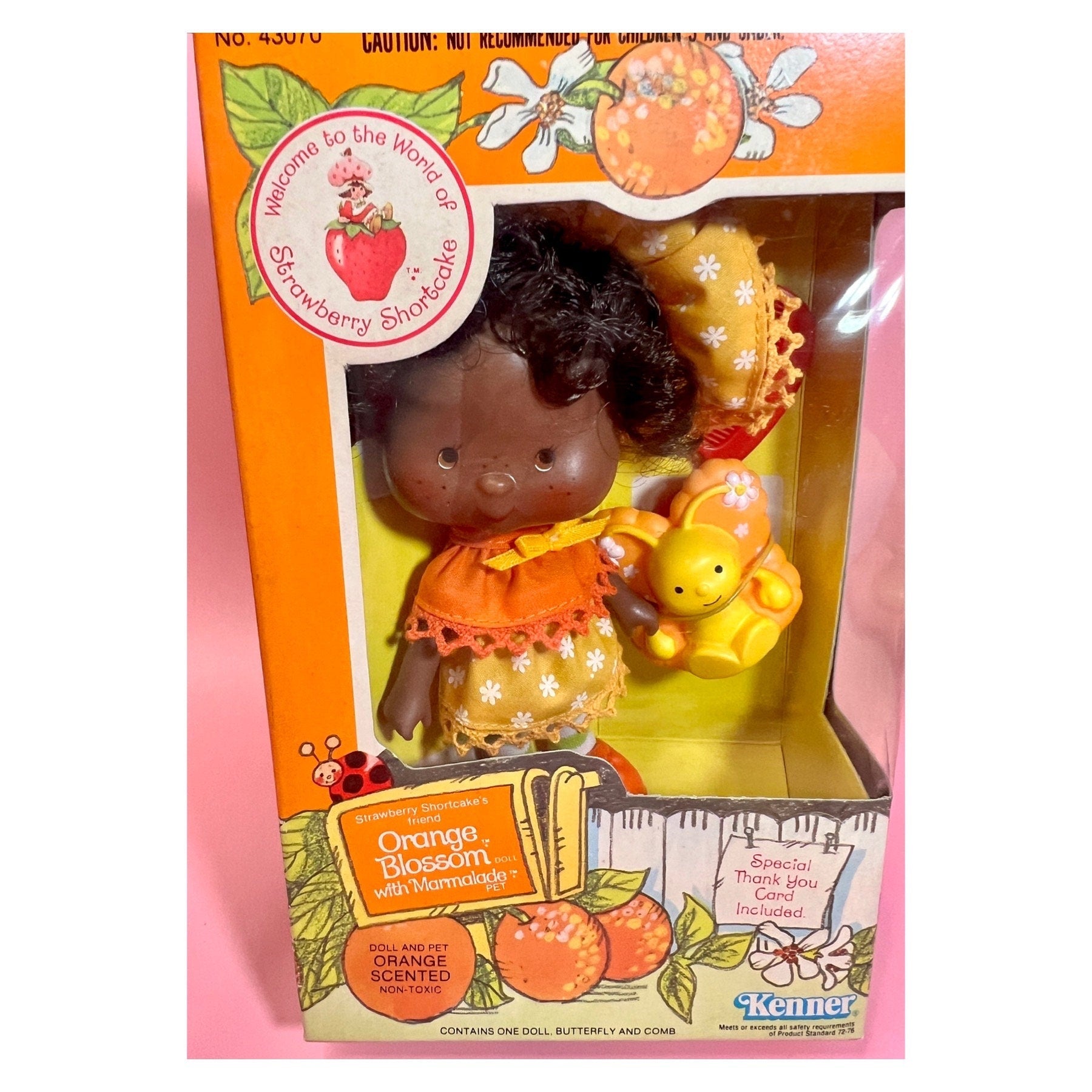 SEALED in Box Orange Blossom Doll with pet Marmalade from Strawberry Shortcake! Gift Wrap Available! - Dolly Magic