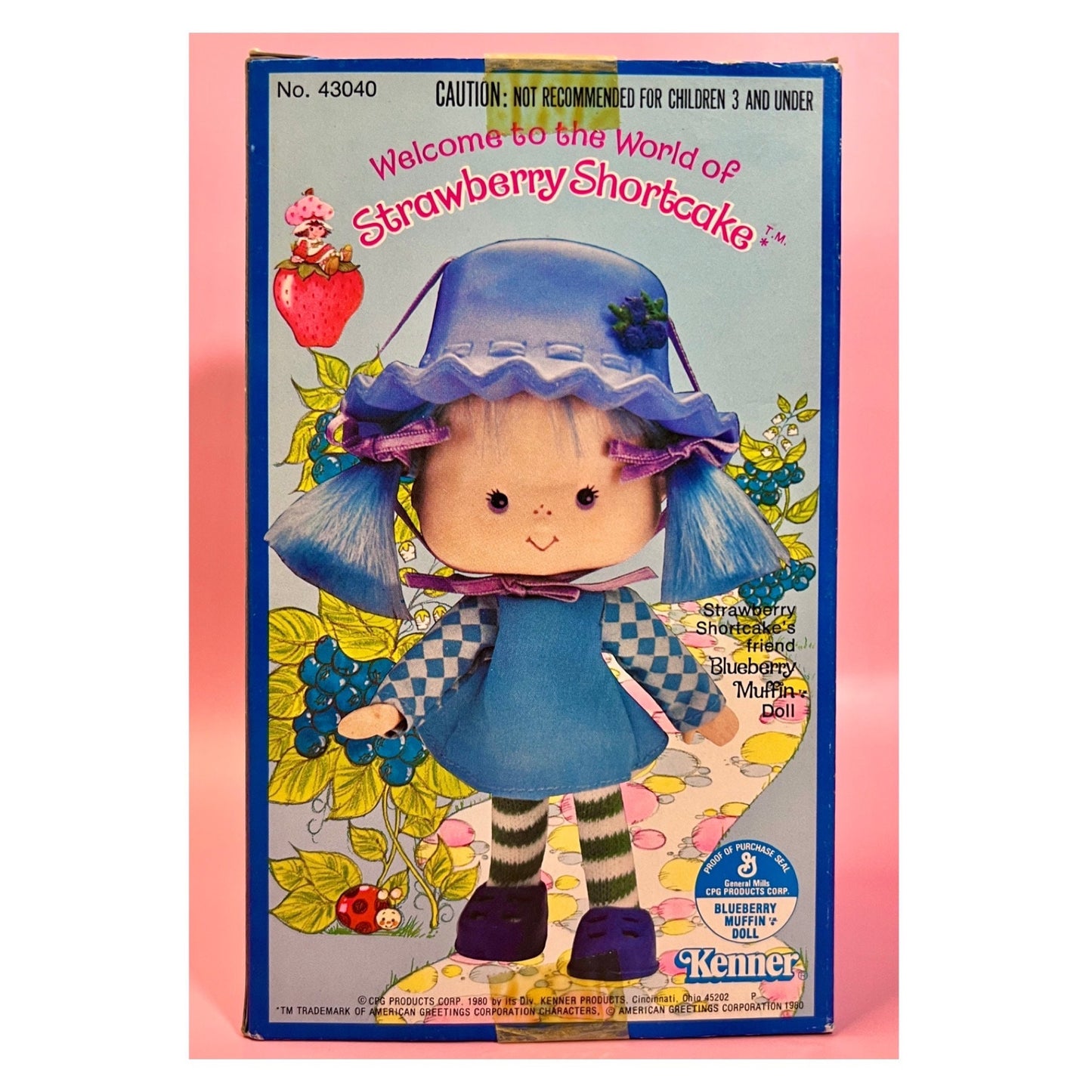 RESERVED FOR PATTY: Sealed in Box Blueberry Muffin Doll from Strawberry Shortcake - Dolly Magic