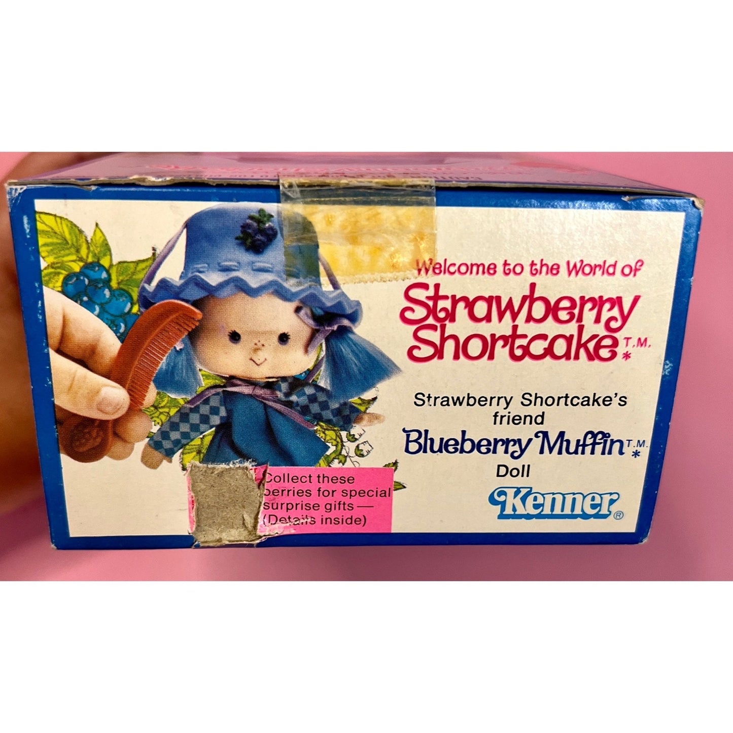 RESERVED FOR PATTY: Sealed in Box Blueberry Muffin Doll from Strawberry Shortcake - Dolly Magic