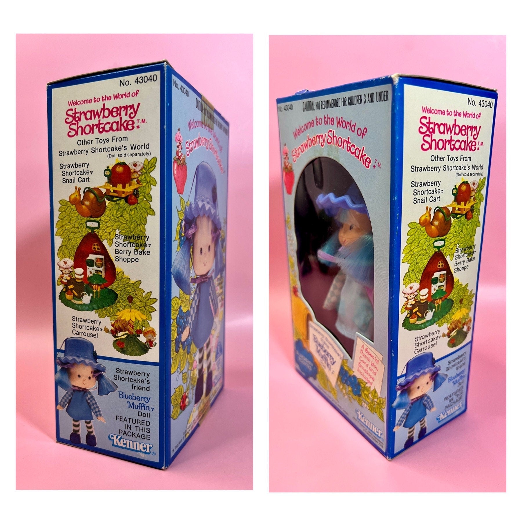 RESERVED FOR PATTY: Sealed in Box Blueberry Muffin Doll from Strawberry Shortcake - Dolly Magic