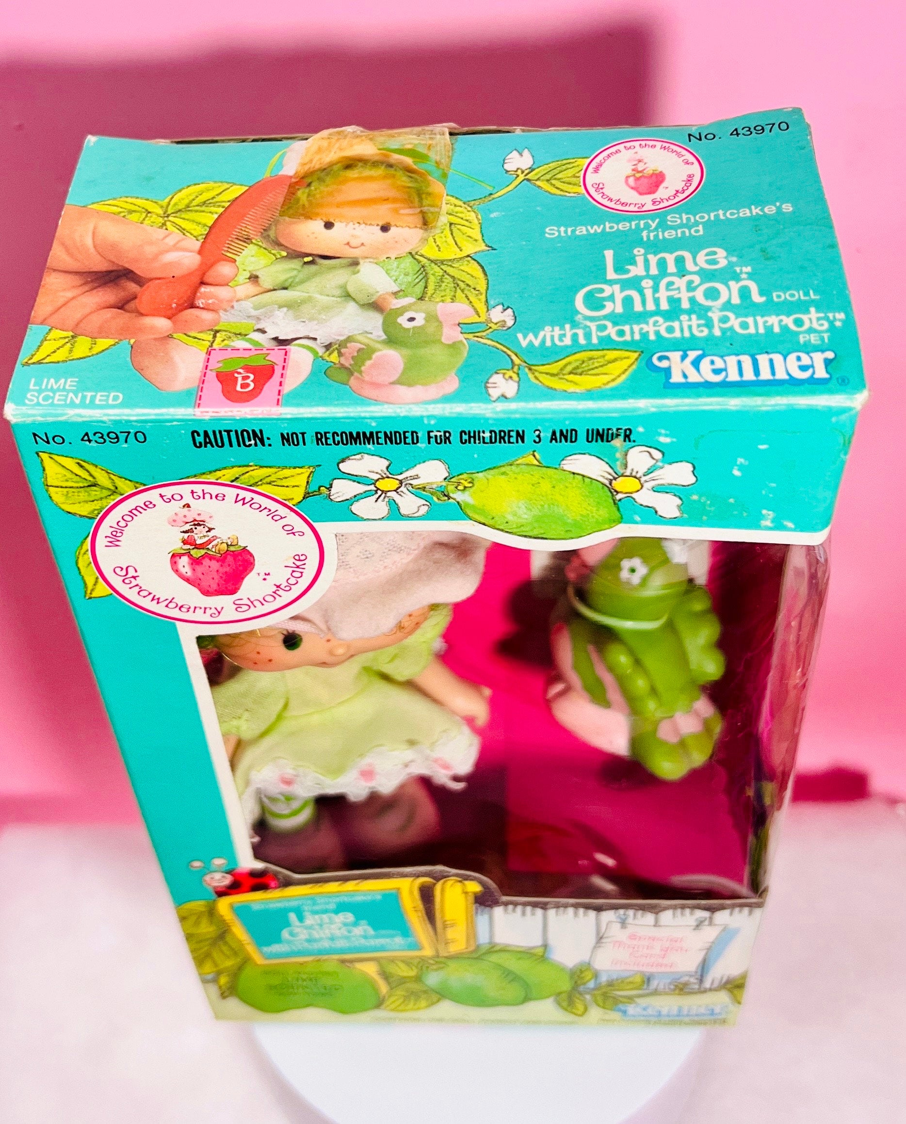 1980s Vintage Lime Chiffon Doll in Box with Pet Parfait Parrot from Strawberry Shortcake! Optional Scent and Gift Wrap! - Dolly Magic