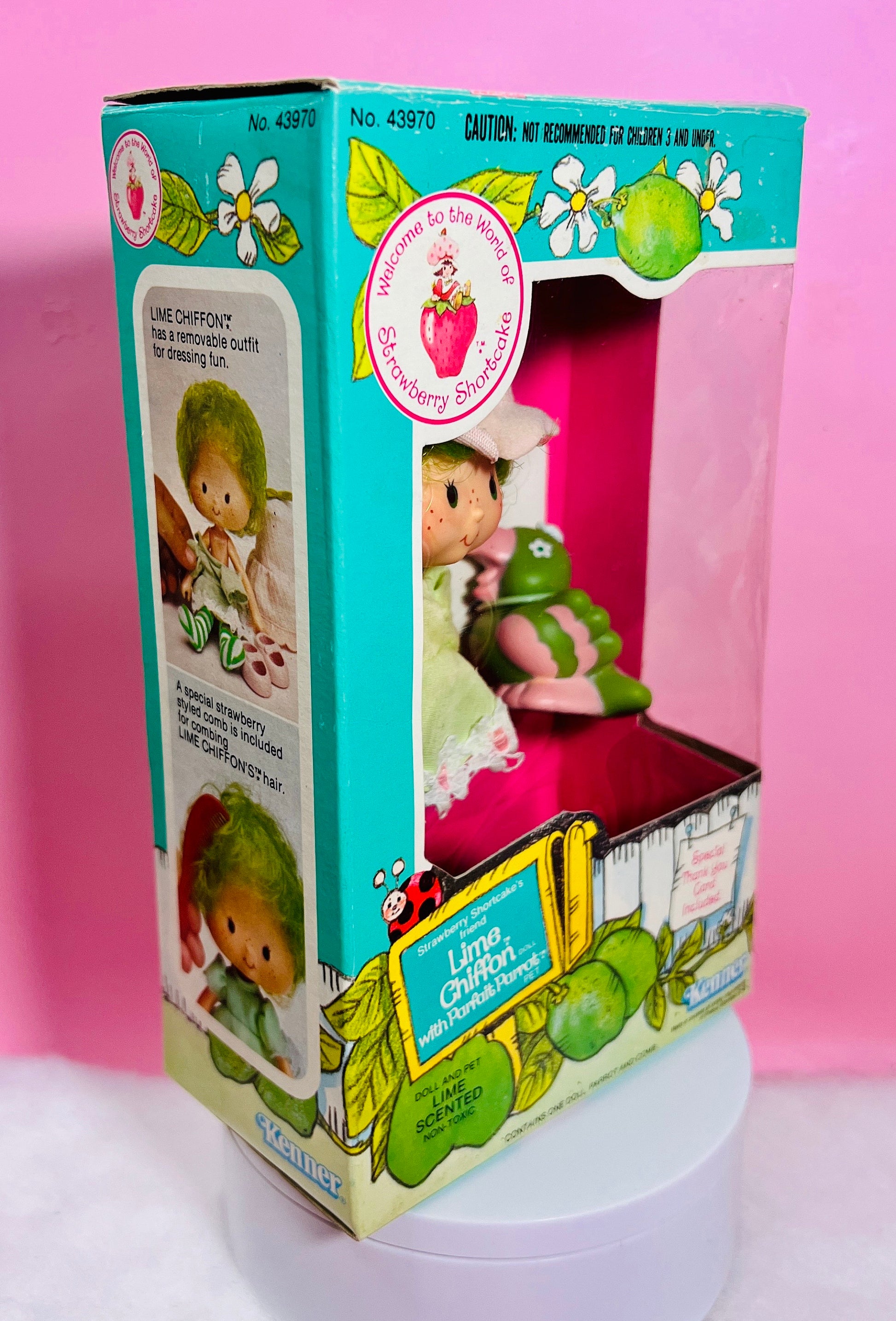 1980s Vintage Lime Chiffon Doll in Box with Pet Parfait Parrot from Strawberry Shortcake! Optional Scent and Gift Wrap! - Dolly Magic