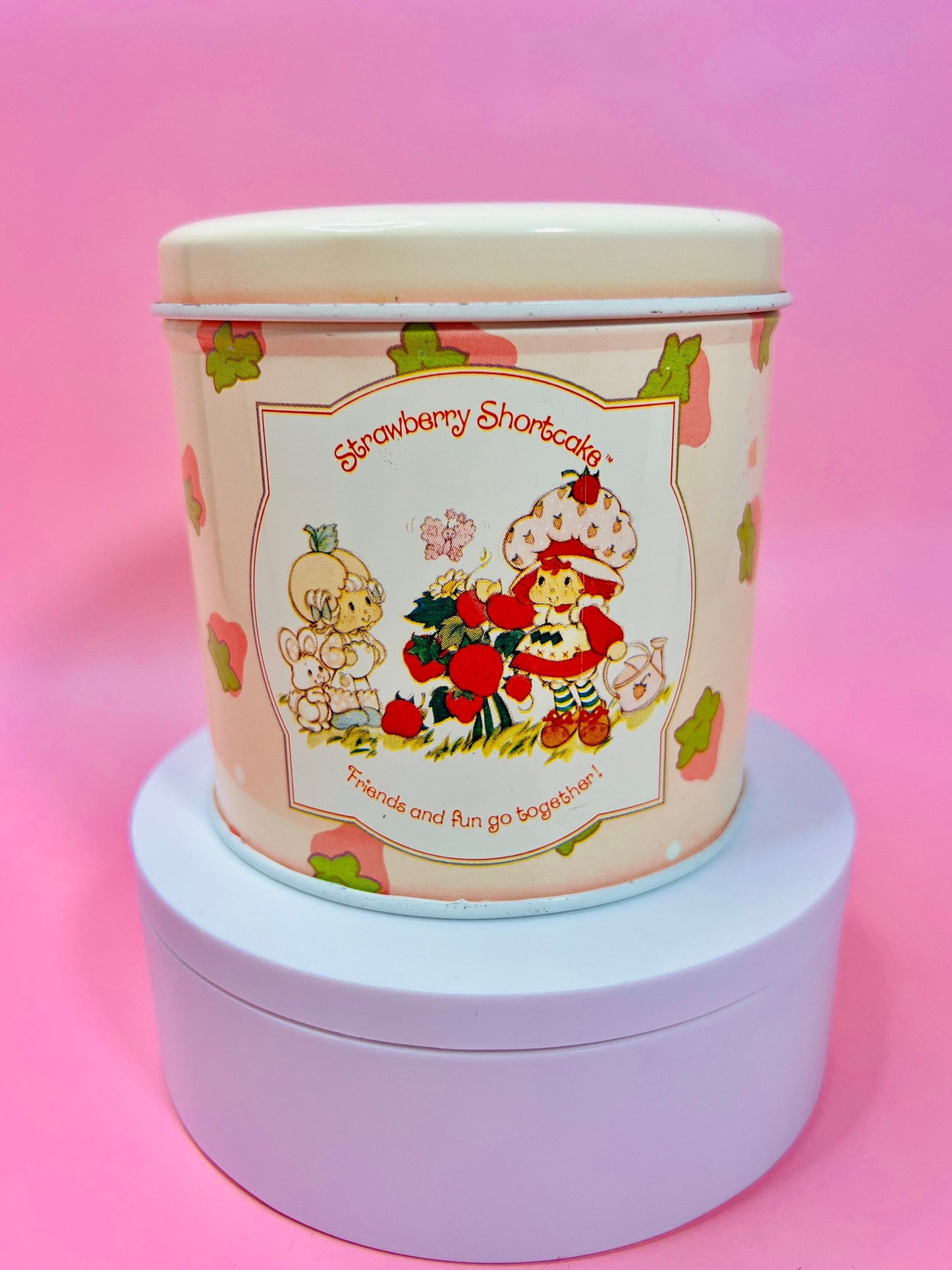 RARE Vintage 1980s Strawberry Shortcake Tin Canister Collectible Retro 80s Decor Featuring Strawberry Herself and Friends! - Dolly Magic