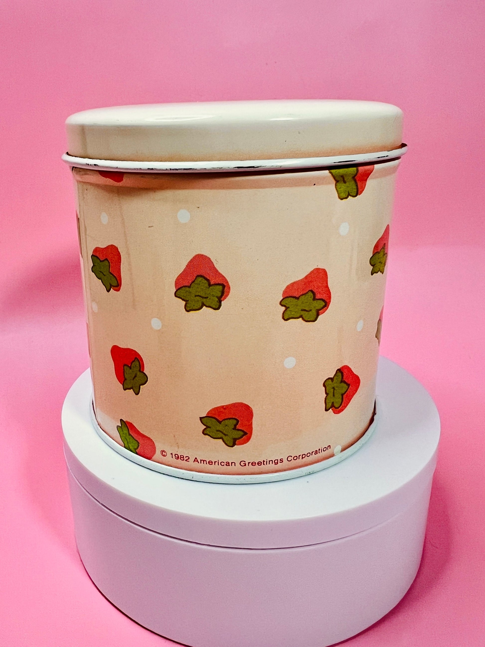 RARE Vintage 1980s Strawberry Shortcake Tin Canister Collectible Retro 80s Decor Featuring Strawberry Herself and Friends! - Dolly Magic