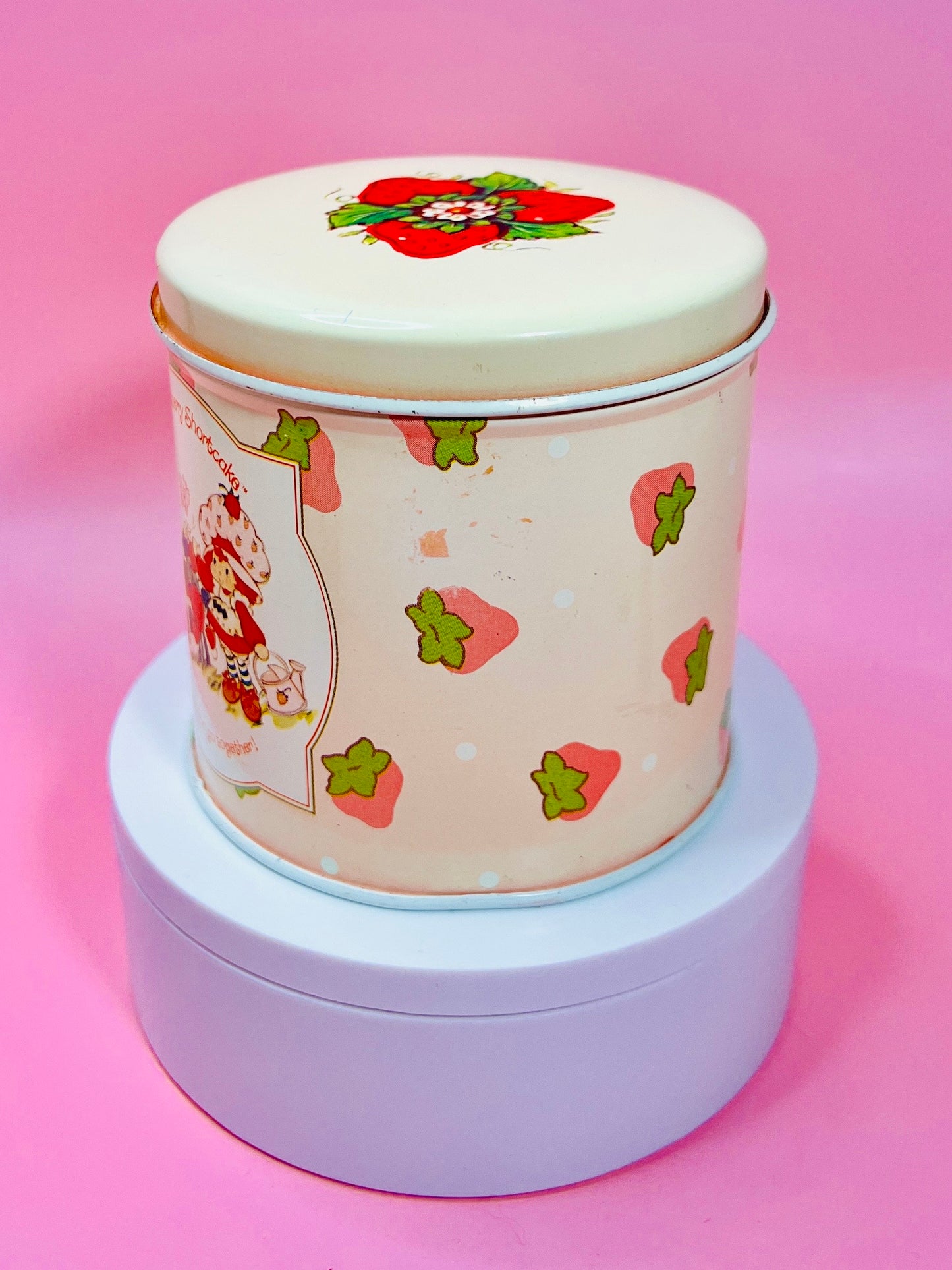 RARE Vintage 1980s Strawberry Shortcake Tin Canister Collectible Retro 80s Decor Featuring Strawberry Herself and Friends! - Dolly Magic